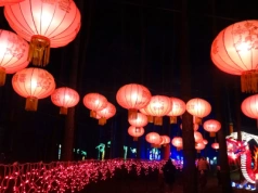 Lumina Park w tym roku zaprasza do ,,Królestwa zwierząt”