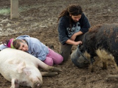 Chcieli pomóc świniom, zalewają ich donosy. Monikę przygniata hejt