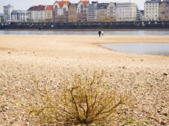 Woda w centrum unijnej agendy. Energię można wytworzyć, a wody nie. Dlatego jest jeszcze cenniejsza