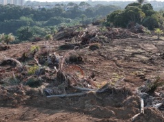 Gra pozorów w sercu Amazonii: Brazylia organizuje COP30