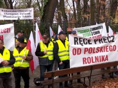 Polscy plantatorzy tytoniu protestują przeciwko planom WHO i UE. Ostrzegają, że nowe regulacje mogą doprowadzić do likwidacji całego sektora