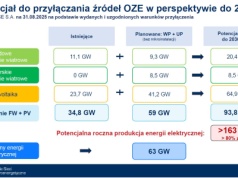 Nie będzie aukcji na zwolnione przyłącza do sieci