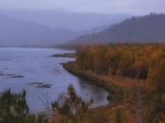 Naukowcy są zaniepokojeni. "Całe jezioro faluje"