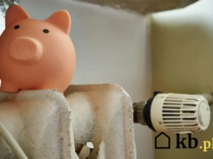 Wielki test ogrzewania: pompa ciepła kontra pellet – zwycięzca zaskakuje!