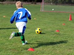 Skandal w Sosnowcu! Trener oskarżony o przestępstwa seksualne wobec dzieci