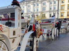 Dorożki nie będą mogły wjeżdżać na Rynek Główny