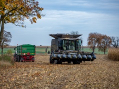 Ile kosztuje kukurydza mokra 2025? W tych regionach stawki wzrosły