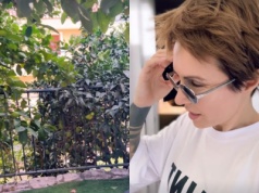 Blanka Lipińska nie mogła uwierzyć, gdy zobaczyła, co stało się w jej ogrodzie. "Zostały niedobitki"