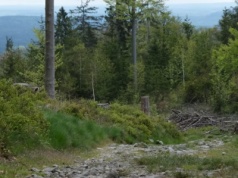 Jeden post wystarczył, żeby zaczęło się szaleństwo. Teraz wszyscy chcą tam pojechać