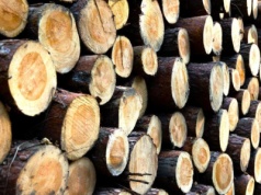 Drewno opałowe drożeje. Za metr sezonowanego surowca trzeba zapłacić nawet 900 złotych