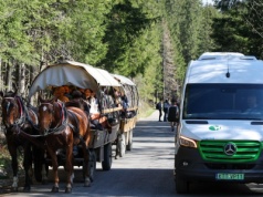 Elektryczne busy za 3,2 mln już nie będą wozić turystów nad Morskie Oko