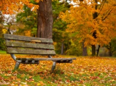 Energetyka listopada i jesienne zioła