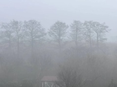 Gęsty mgły. IMGW ostrzega północną Polskę