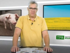 Ceny mleka i zbóż odbiją? Nadchodzą zmiany na rynku