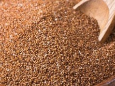 Skarbnica wapnia, której Polacy używają bardzo rzadko. Polecana dla kontroli wagi