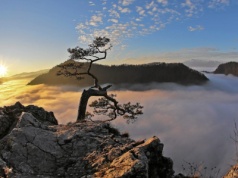 Pieniny w najpiękniejszym wydaniu kuszą turystów. Jaka temperatura czeka na nich w listopadzie?