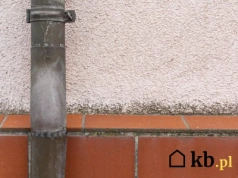 Zauważyłeś zielone plamy na elewacji? To sygnał ostrzegawczy, którego nie wolno ignorować