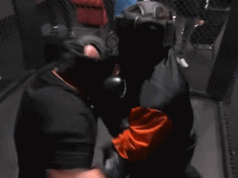 Sceny w programie FAME MMA. Najman pobił się z Boxdelem