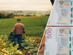 Kolejny cios w rolników. Opłaty za pracowników w gospodarstwach wzrosną 4-krotnie