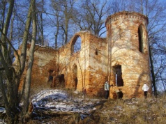 Zamek na środku jeziora w Wielkopolsce. Miał być miejscem szczęścia, zostały tylko ruiny