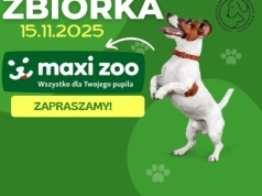 Zbiórka karmy dla zwierząt w Maxi Zoo w Kielcach
