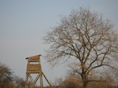 Śmiertelny wypadek na polowaniu. Jest zarzut zabójstwa
