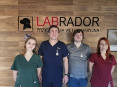 Przychodnia Weterynaryjna Labrador dołącza do Grupy LuxVet