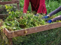 Urzędnicy sprawdzają trawniki i kompostowniki. Od tego mogą zależeć dotkliwe kary