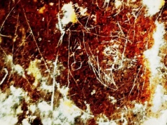 Rzadka płaskorzeźba sasanidzkiego władcy. Odkrycie roku w starożytnym mieście Iranu