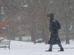 Wir polarny przyniesie do Polski zimę. Śnieg jeszcze w listopadzie