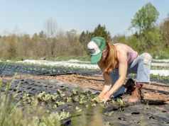Cyberprzestępcy uderzają w rolników – jak chronić swoje gospodarstwo przed atakiem
