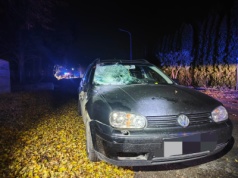 29-latek podczas wymijania potrącił idącą poboczem 15-latkę