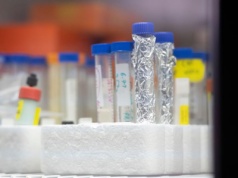 GUS: rośnie liczba firm działających w biotech i nanotech