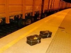 Tysiąc paczek nielegalnych papierosów ukrytych w węglarce. Przemyt udaremniony w Terespolu