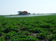 Opryski 2026. Rząd luzuje przepisy: nowoczesny sprzęt da więcej dni na zabiegi