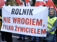 Jak nie wykończyć rolnictwa w walce o zdrowie publiczne. O co chodzi protestującym?