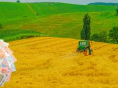 Wspólna Polityka Rolna po 2027. Co czeka polskich rolników według ostatnich debat w Brukseli?
