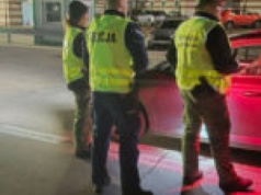 Zatrzymany na granicy z podrobionym prawem jazdy. Turek wpadł w Gubinku