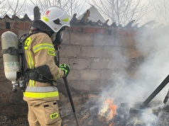 Starszy pan stracił w pożarze dom. Nie chce iść do schroniska, bo musiałby oddać psa. Kto mu pomoże?