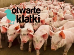 Rolnicy mają dość. Apel do Sejmu o zatrzymanie „antyrolniczych działań”