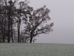 W Arktyce gorąco, a Polsce pogoda wraca na właściwe tory
