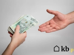 Na pieniądze z Czystego Powietrza czekała 10 miesięcy. "Musiałam wziąć pożyczkę, chociaż dostałam dofinansowanie"