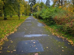 Mały, ale ważny remont w stargardzkim parku