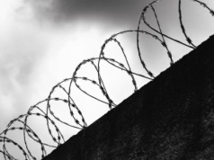 Makabryczna  śmierć Timo! Zapadł wyrok w sprawie psa powieszonego na wózku widłowym