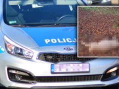 Szedł przez wieś z martwą sarną na plecach. "Nie umiał wyjaśnić..."