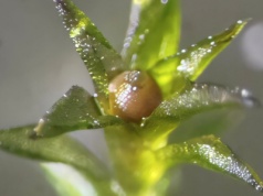 Przetrwały 9 miesięcy w kosmicznej pustce. Wyniki szokują