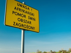 Sejm za poprawkami Senatu do ustawy o zdrowiu zwierząt