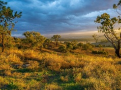 Wielka rodzinna farma na sprzedaż. Ponad 35 000 hektarów pod wypas bydła