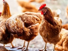 Ograniczenia w 20 powiatach i 3 miastach na Mazowszu. Decyzja wojewody