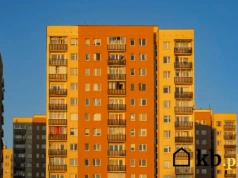 12 milionów Polaków mieszka w "przeterminowanych" budynkach. Co dalej z wielką płytą?